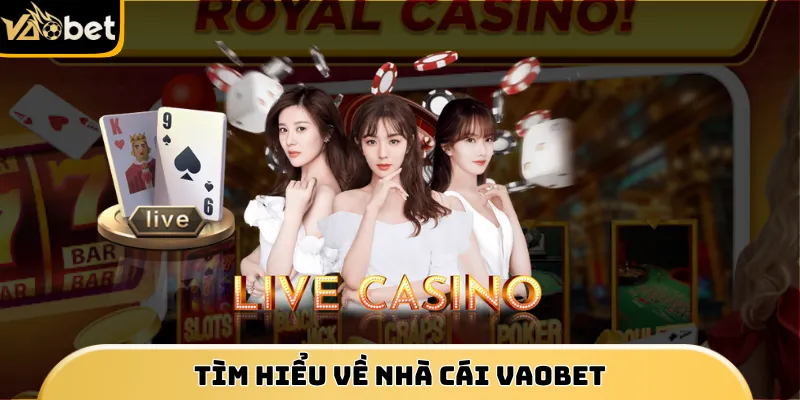 Tìm hiểu thông tin nhà cái Vaobet